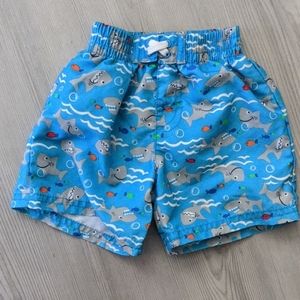 Baby Boy Shark Swim Shorts size 6-9 months